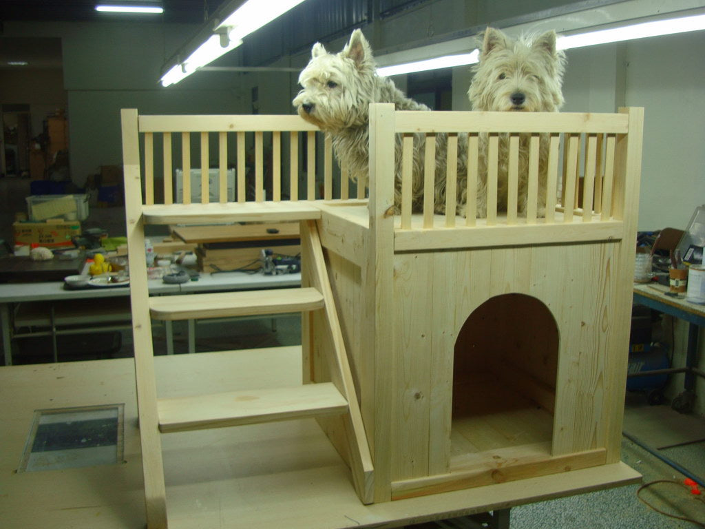 Pet 01 寵物用品