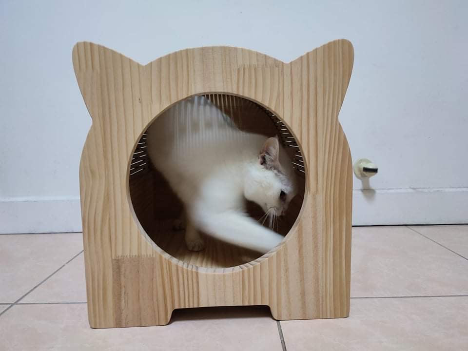 Pet 01 寵物用品